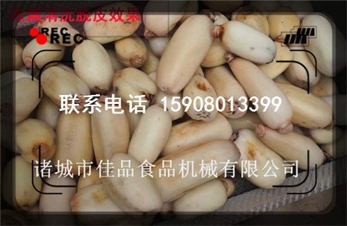 佳品机械去皮清洗 (3)