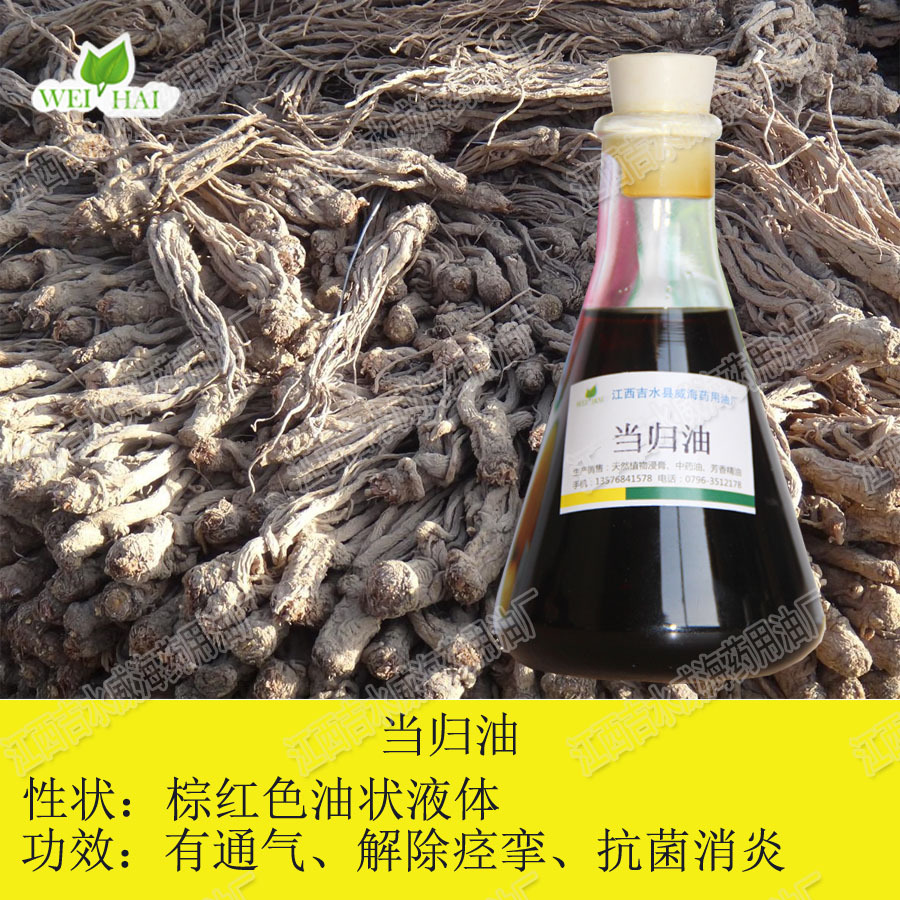 当归油