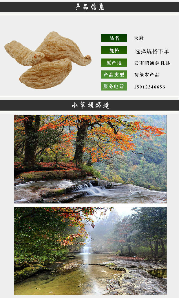 红枣天麻炖鸽子做法天麻当归同煮