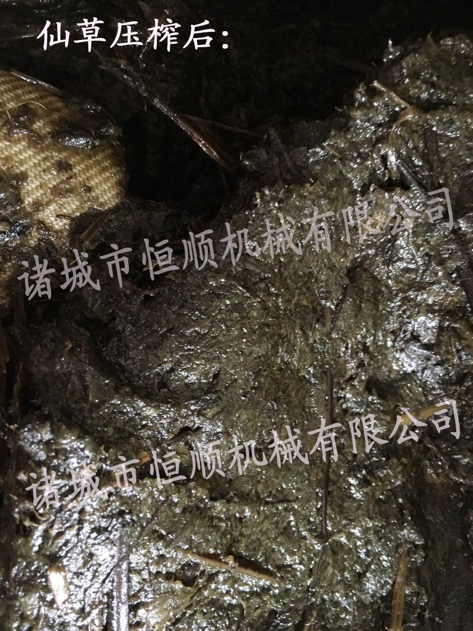 图片展示