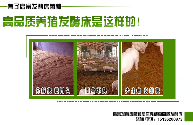 发酵床菌种