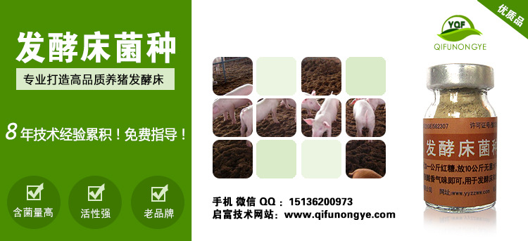 发酵床菌种