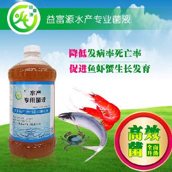 专治鱼浮头益生菌怎么办降氨氮净化水质武汉咸宁荆州