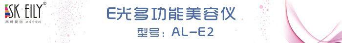 AL-E2头