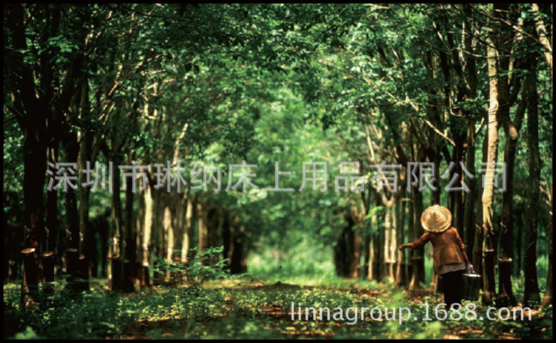 LINNA琳纳公司-003-泰国