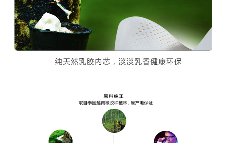 LNZ-A3555_21
