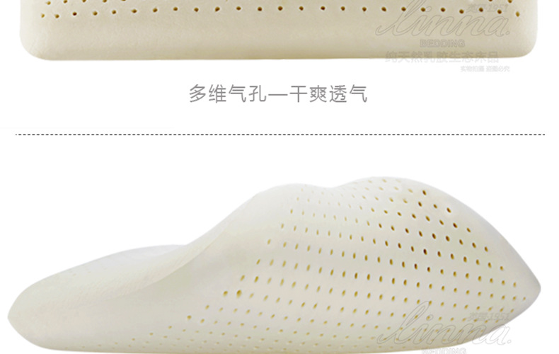LNZ-s4060_06