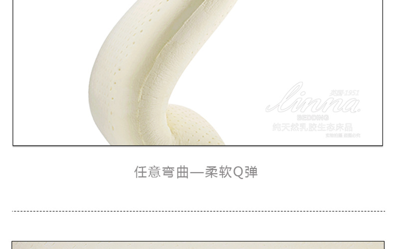 LNZ-s4060_19