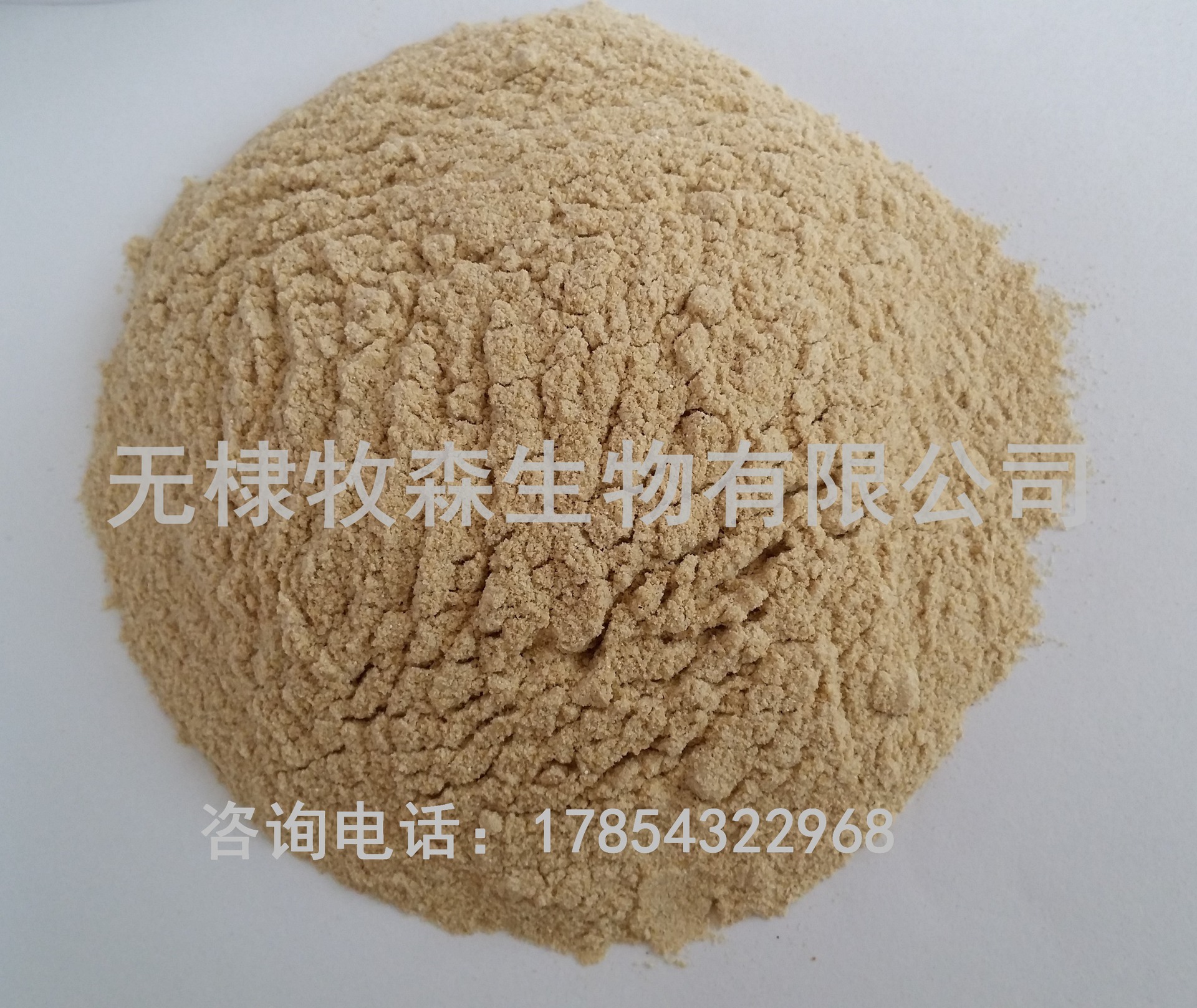 大米蛋白粉