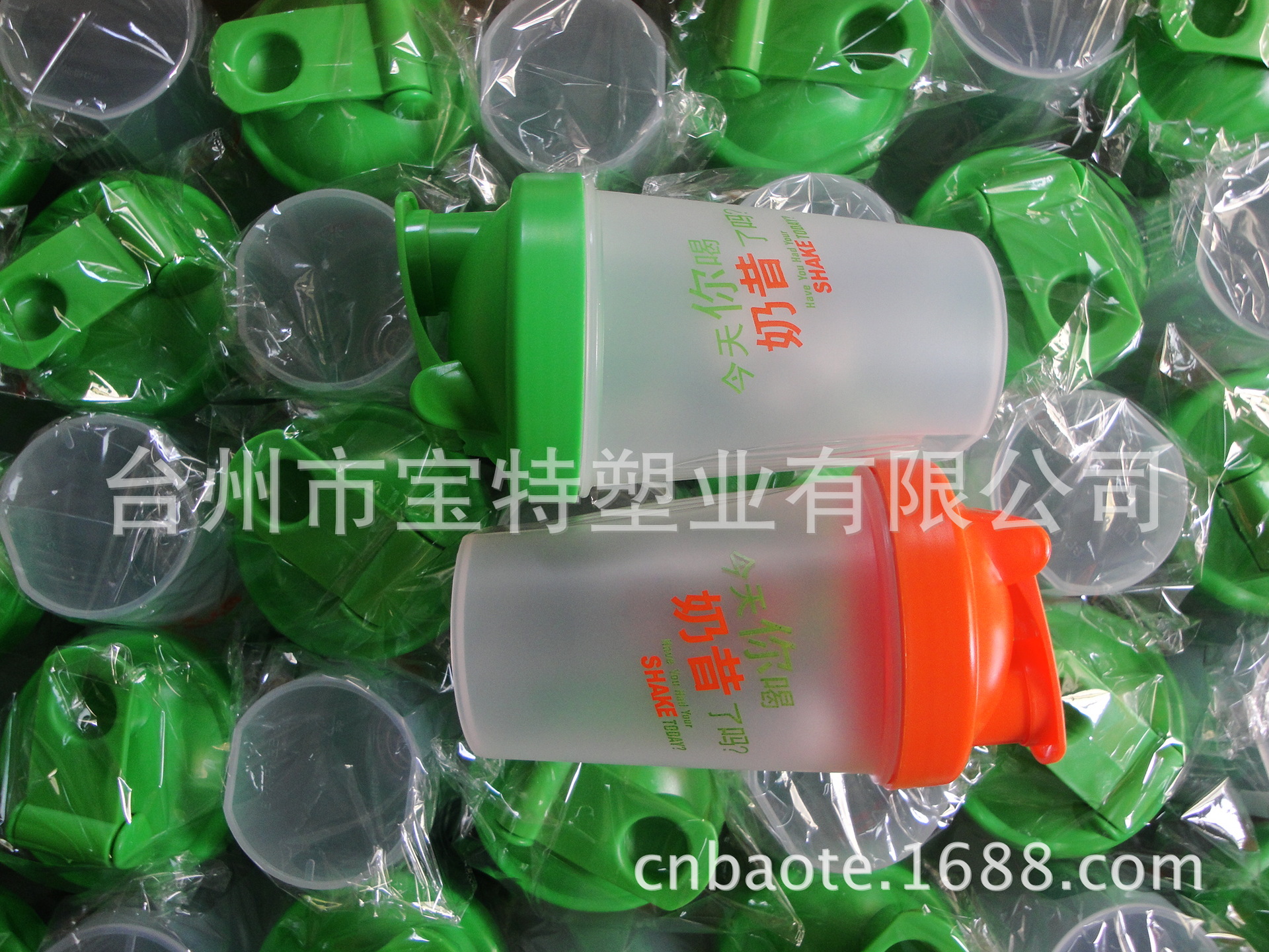 DSC02493