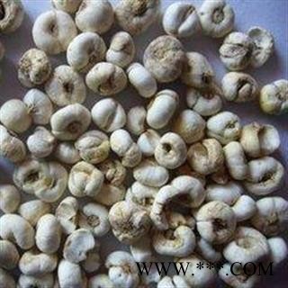 平贝母 平贝母选货0.8 产地 吉林省图2