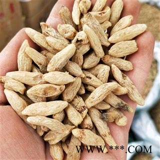 麦冬 川麦冬统装无硫 产地 四川省绵阳市图2