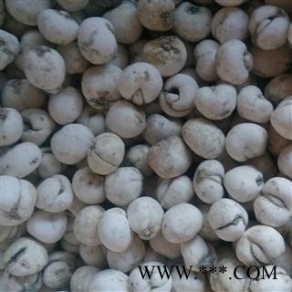 川贝母 中选 产地 青海省海北藏族自治州祁连县图2