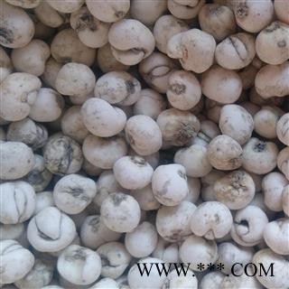 川贝母 中选 产地 青海省海北藏族自治州祁连县图3