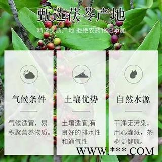 茯苓 云南茯苓 正心丁 无边角无黑点 新货图4