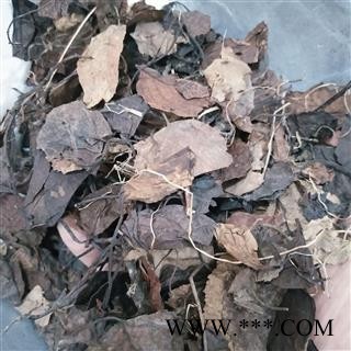 鹿衔草 鹿衔草统货 产地 内蒙古自治区图4