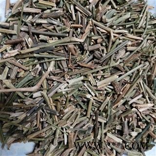 穿心莲 穿心莲前期统段 产地 广西壮族自治区图4