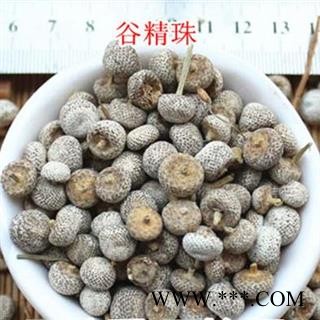 中药材 谷精珠 谷精子 谷精珠 谷精草谷精子图1
