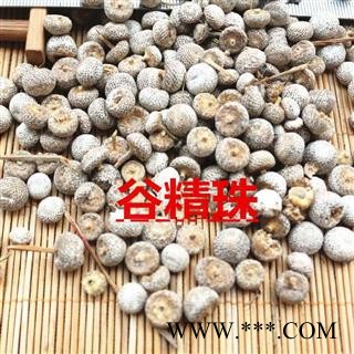 中药材 谷精珠 谷精子 谷精珠 谷精草谷精子图2