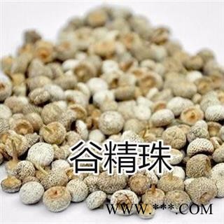 中药材 谷精珠 谷精子 谷精珠 谷精草谷精子图4