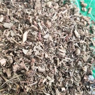 蓝布正  蓝不正 红心草 头晕药图3