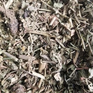 蓝布正  蓝不正 红心草 头晕药图2