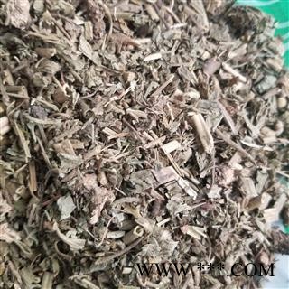 蓝布正  蓝不正 红心草 头晕药图1