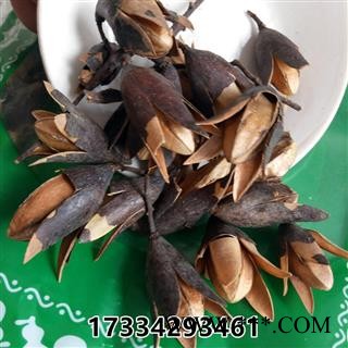 中药材香铃子  中药材冷背响铃子 香椿子 香椿种子果图2