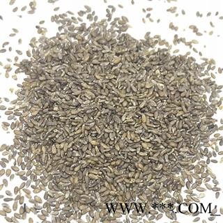 瑞森药材行沙蒿子沙蒿 沙蒿子 沙蒿籽产地直销非骆驼蓬子图3