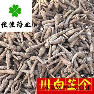 川白芷 正品选装大白芷个 大选个 新货 味道足 产地 四川省 川白芷个子图2