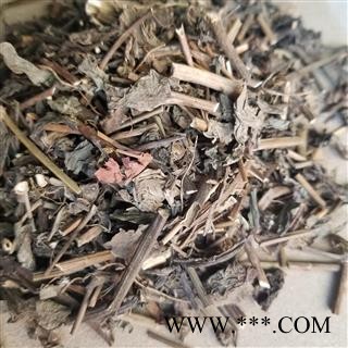 羊蹄草 一点红 羊蹄草 叶下红 红背叶图2