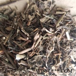 羊蹄草 一点红 羊蹄草 叶下红 红背叶图3