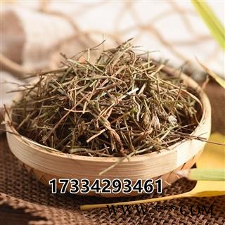 兰花参贵州兰花参 蓝花草 细叶沙参土参蓝花参图3