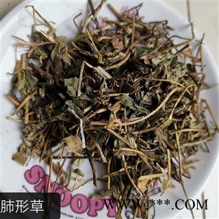 瑞森药材行蝴蝶草 肺形草 铁交杯  双飞蝴蝶图3