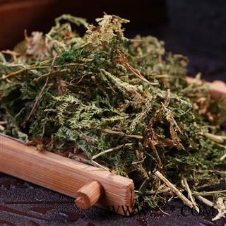 瑞森药材行 翠云草  蓝草 剑柏 蓝地柏 地柏叶 伸脚草 绿绒草 烂皮蛇图2