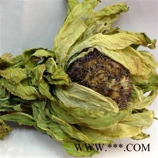 圣草康园雪莲花 天山雪莲图2