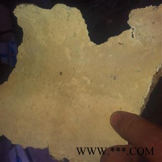 问心堂药业供应优质白耙齿菌图2