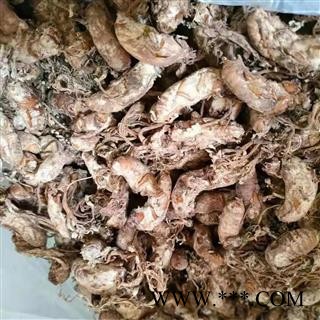 京辉药业 金蝉花选货 正品饱满 产地直销图2