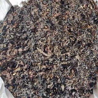 海藻 海藻统货 产地 山东省图4