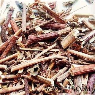 圣草康园景天三七 八仙草活血丹 见血散 土三七图2