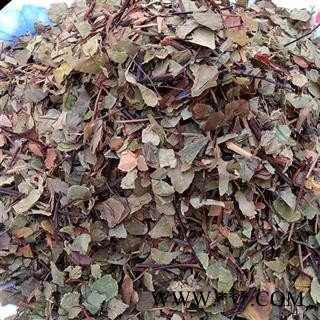 圣草康园猪鬃草 猪毛七 猪毛菜 铁线蕨 新货 产地 直销图2