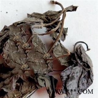 圣草康园鸡屎藤 鸡屎藤叶今年 颜色好产地湖北 鸡矢藤叶另有鸡屎藤含量高可供饮片厂药厂图2