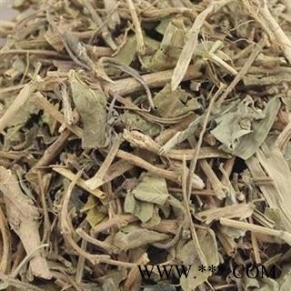 圣草康园铺地锦天胡荽 铺地锦地菍满天星  步地锦 鸡肠菜 破钱草 千光草 肺风草  落地金钱 镜面草 遍地金 克麻藤 地钱草 野芹菜图2