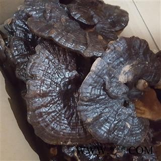 圣草康园灵芝紫灵芝  无污染礼盒装400克图2