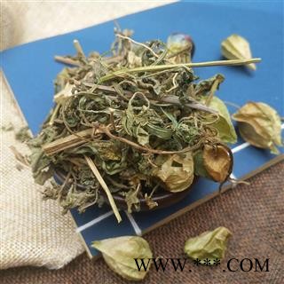 中药材灯笼草 打卜草 打额泡 天泡草 黄灯笼 黄姑娘图3