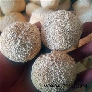 东北猴头菇干货 猴菇 猴头蘑菇干猴头菌图4