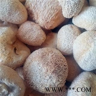 东北猴头菇干货 猴菇 猴头蘑菇干猴头菌图2