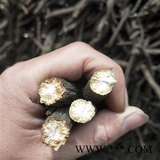 赤芍个 哈萨克斯坦赤芍药 产地 海外图3