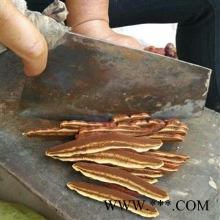 灵芝（灵芝切丝） 选片 产地 山东省聊城市冠县图2