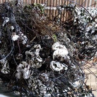 瑞森药材行中药材通经草统货产地云南图2